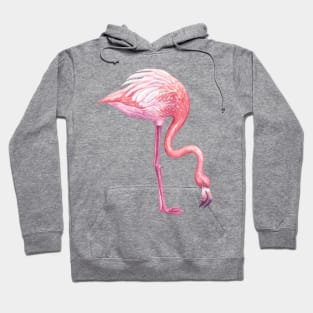 Flamingo 2 Hoodie